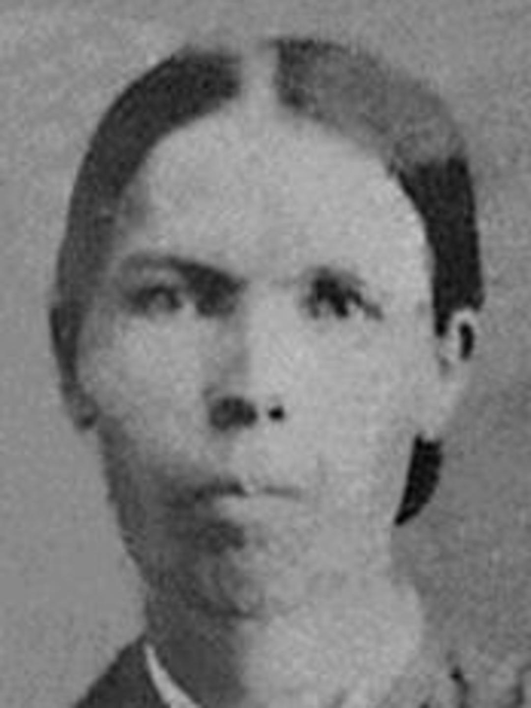 Mary Ann McFarland (1841 - 1917) Profile